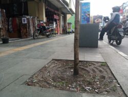 Ada-ada Saja, Besi Penyekat Pohon di Pedestrian Ahmad Yani Raib, Diduga Dicuri