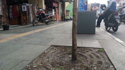 Ada-ada Saja, Besi Penyekat Pohon di Pedestrian Ahmad Yani Raib, Diduga Dicuri