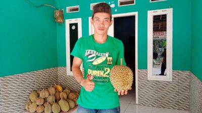 Hore, Durian Cikakak Kabupaten Sukabumi Siap Panen, Ini Jadwalnya