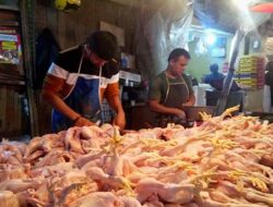 Harga Daging Ayam di Sukabumi Tembus Rp36 Ribu