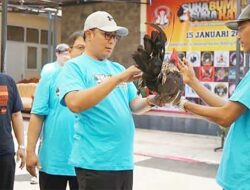 Kontes Ayam Kate Kota Sukabumi Direkomendasikan Masuk Dalam Calender Of Event