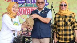 Wakil Bupati Sukabumi Iyos Somantri