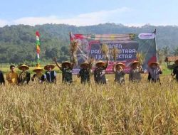 Pemkab Sukabumi Panen Padi Nusantara di Cikembar , Jaga Ketahanan Pangan