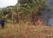 Lahan PT Bogorindo di Sukabumi Hangus Terbakar