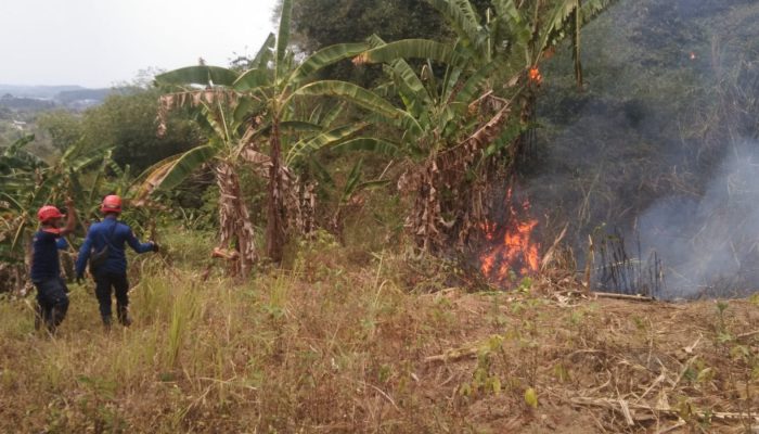 Lahan PT Bogorindo di Sukabumi Hangus Terbakar