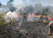 Kebakaran di Kota Sukabumi 3.000 Meter Lahan Warga Cikundul Gosong