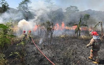 Kebakaran Lahan Kota Sukabumi