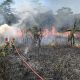 Kebakaran Lahan Kota Sukabumi