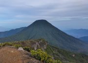 Keindahan Tersembunyi Kota Sukabumi: Taman Nasional Gunung Gede Pangrango