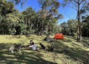 Halimun Jeep Cam Sukabumi Wisata Camping Ground yang Memikat untuk Menghabiskan Akhir Tahun 2023