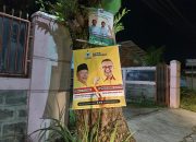 Marak Pemasangan APK di Pohon, Ketum Sukabumi Hijau : Harus Ditindak Tegas