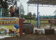 Berkuda di Tengah Keindahan Alam: SMS Adventure di Selabintana, Kabupaten Sukabumi Wahana Berkuda