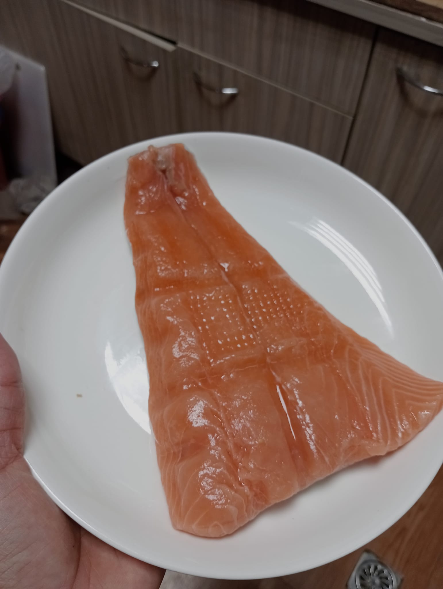 Ikan Salmon