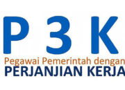 Pengumuman Hasil Seleksi PPPK 2024 Tahap 1 Sudah Keluar! Cek Sekarang di SSCASN!