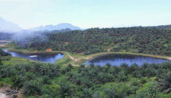 Indonesia Menang Gugatan Sawit dan Biofuel di WTO Melawan Uni Eropa