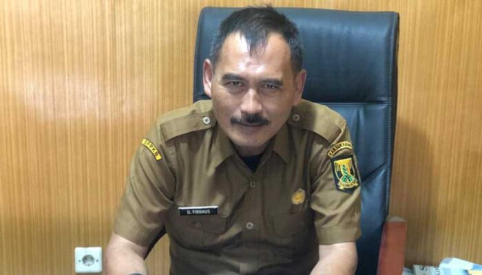 Menuju Indonesia Emas 2045, Kadis DPPKB Kabupaten Sukabumi Sambut Perubahan BKKBN Jadi Kementerian,