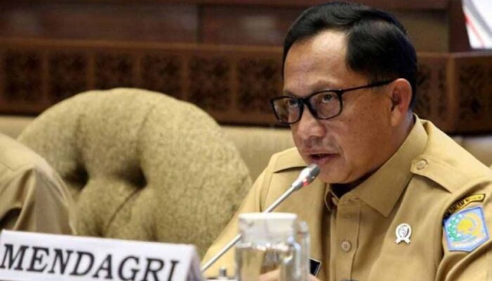 Pelantikan Kepala Daerah Serentak oleh Presiden, Catat Sejarah Baru