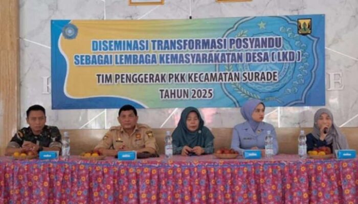 Melalui UPTD Dalduk Surade, DPPKB Kabupaten Sukabumi Tingkatkan 6 Bidang Pelayanan Posyandu di Kecamatan Surade