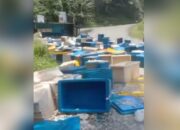 Truk Terguling di Tanjakan Baeud Sukabumi, Ribuan Udang Berhamburan