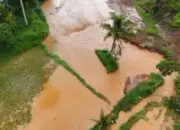 Sawah Warga di Cihaur Tercemar, DPRD Sukabumi Desak Pemerintah Untuk Tindak Tegas