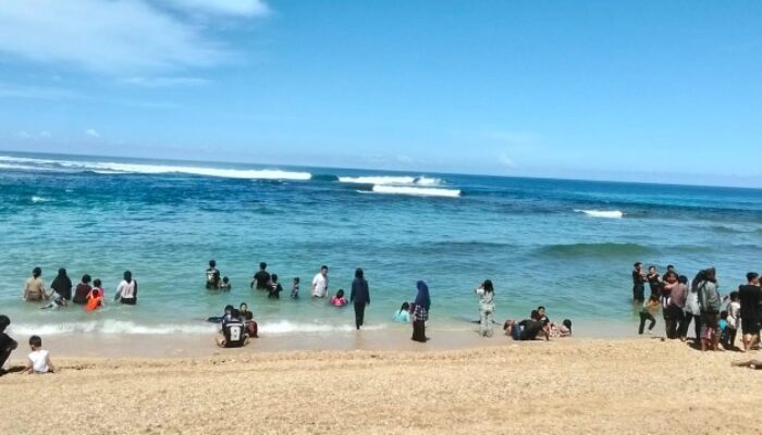 Penampakan Penyu di Pantai Cibuaya Sukabumi Jadi Perhatian Menarik Wisatawan