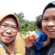 Kebun Stroberi di sukabumi