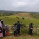 Fina Farm Sukabumi Wisata Alam Rasa New Zealand dengan Berkuda hingga Camping Seru