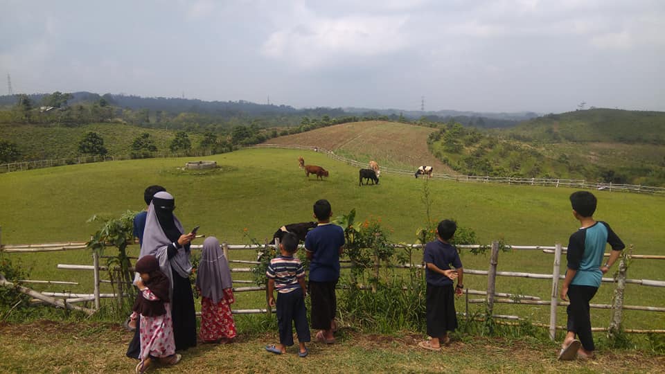 Fina Farm Sukabumi Wisata Alam Rasa New Zealand dengan Berkuda hingga Camping Seru