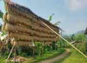 Jejak Kampung Adat di Kabandungan Sukabumi: Warisan Sunda di Kaki Gunung Halimun Salak