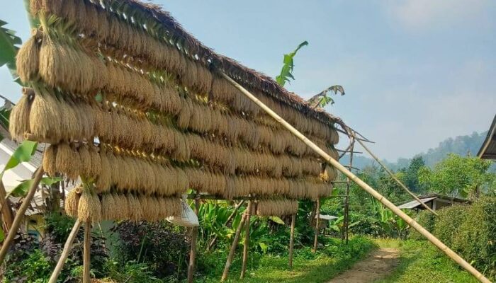 Jejak Kampung Adat di Kabandungan Sukabumi: Warisan Sunda di Kaki Gunung Halimun Salak