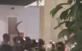 Viral! Sekelompok Remaja Bersenjata Tajam Serang Warga di Cibeureum Sukabumi, Dua Orang Diamankan