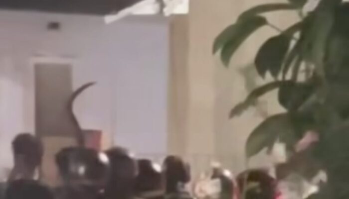 Viral! Sekelompok Remaja Bersenjata Tajam Serang Warga di Cibeureum Sukabumi, Dua Orang Diamankan
