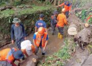 BPBD Kota Sukabumi Evakuasi Pohon Tumbang yang Menutupi Saluran Air di Perbatasan Gang Kobra dan Perum Kandara