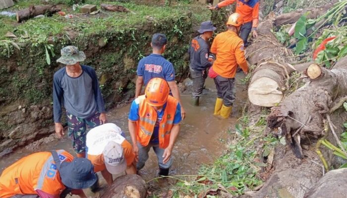 BPBD Kota Sukabumi Evakuasi Pohon Tumbang yang Menutupi Saluran Air di Perbatasan Gang Kobra dan Perum Kandara