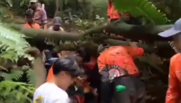 Pendaki Alami Kecelakaan di Gunung Salak Jalur Cimelati, Berhasil Dievakuasi Tim Gabungan