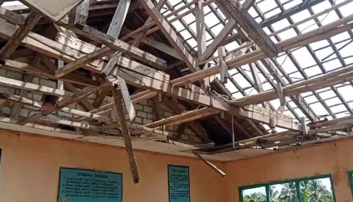 Momentum Hardiknas, SDN Pasidikan Sukabumi Harap Perhatian Pemerintah
