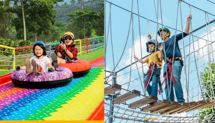 Serunya Liburan Sekolah di Sukabumi: Nikmati Alam Segar di Goalpara Tea Park