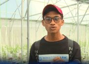 Inspirasi dari Blora: Adi Latif, Mantan Pekerja Korea yang Sukses Bertani