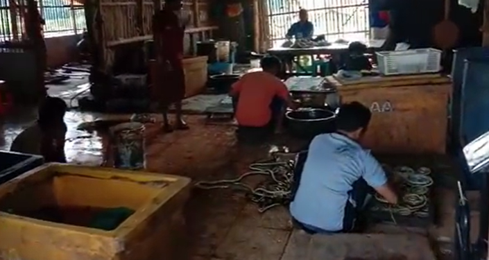 Bukan Sekadar Mitos, Inilah Kampung Ular Kertasurabdi Cirebon