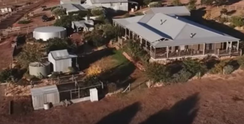 Cuma Kerja Petik Buah, Pria TKI di Australia Ini Digaji 30 Juta per Minggu