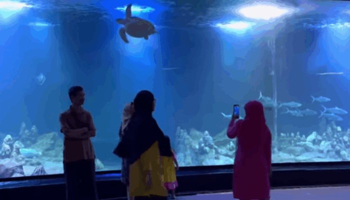 Aquarium Indonesia Pangandaran Tempat Menjelajahi Keajaiban Bawah Laut