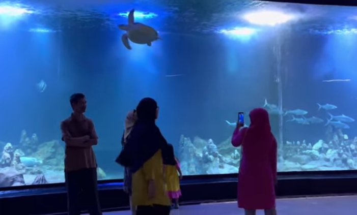 Aquarium Indonesia Pangandaran Tempat Menjelajahi Keajaiban Bawah Laut
