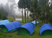 Javanaspa Cidahu Sukabumi : Liburan Santai Bersama Keluarga Menikamati Indahnya Hutan Pinus 