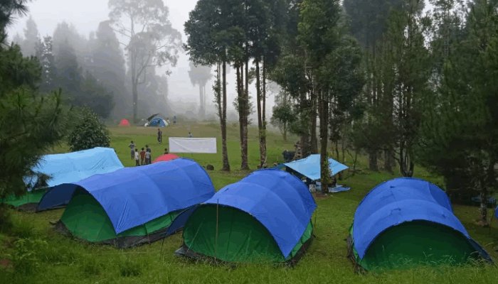 Javanaspa Cidahu Sukabumi : Liburan Santai Bersama Keluarga Menikamati Indahnya Hutan Pinus 