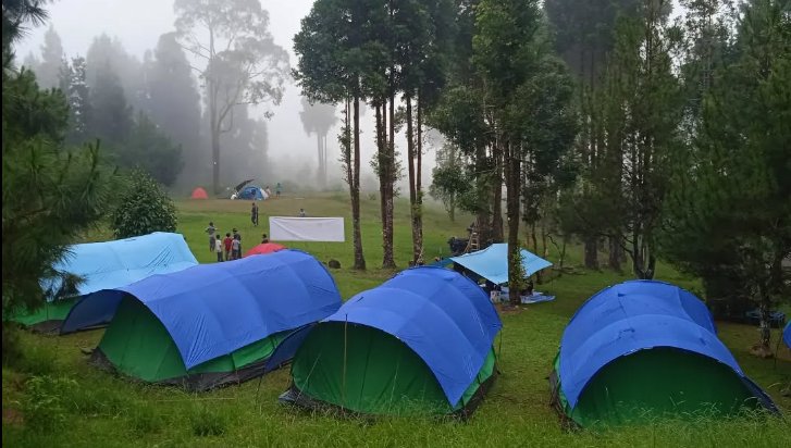 Javanaspa Cidahu Sukabumi : Liburan Santai Bersama Keluarga Menikamati Indahnya Hutan Pinus 