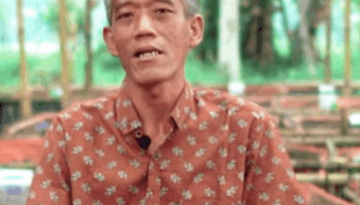 Dari Satu Kolam Belut di Cangkringan, Kini Suwardi Jadi Raja Belut dengan 200 Kolam