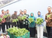 Lapas Sukabumi Panen Sayuran Hidroponik, Wujud Nyata Pembinaan dan Ketahanan Pangan Berkelanjutan