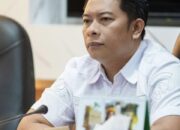Anggota DPRD Kota Sukabumi Inggu Sudeni Soroti Penertiban Reklame yang Dinilai Tergesa-gesa
