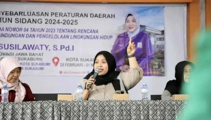 Dessy Susilawati Minta Pemkab Sukabumi Perkuat Pelatihan Tenaga Kerja Laki-Laki
