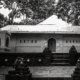 Misteri Kera Plangon, Ketika Makam Keramat Bertemu Kerajaan Monyet Sakral